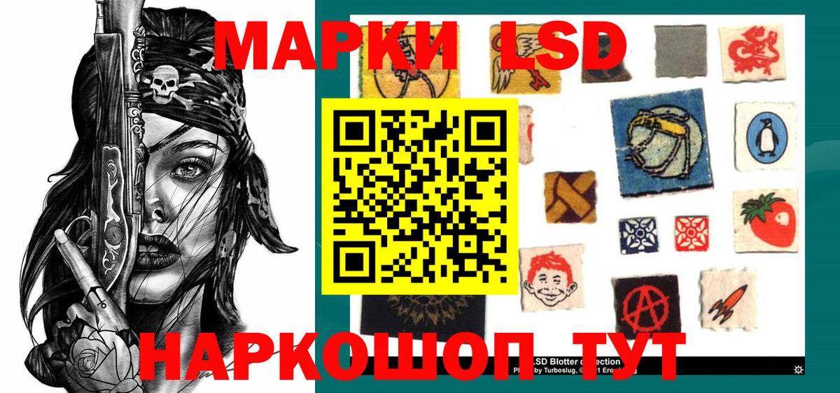где купить наркоту  Вход с VPN  Мурино  Марки 25I-NBOMe 1500мкг 