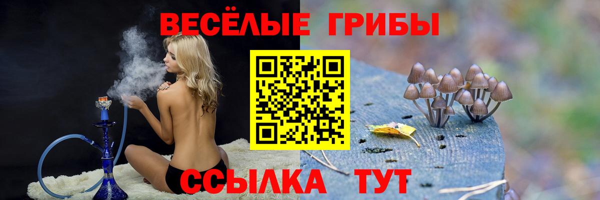 Галлюциногенные грибы прущие грибы  Вход с VPN  Мурино  Галлюциногенные грибы Psilocybe 