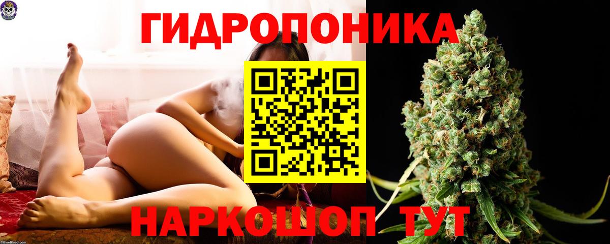 Шишки марихуана Ganja Мурино